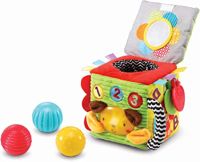 VTech Little Friendlies Discovery Ball Cube 