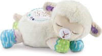 3-in-1 Starry Skies Sheep Soother