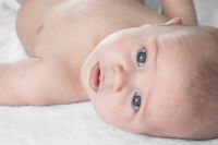 Bebeluca Essentials Fibre Cot Mattress